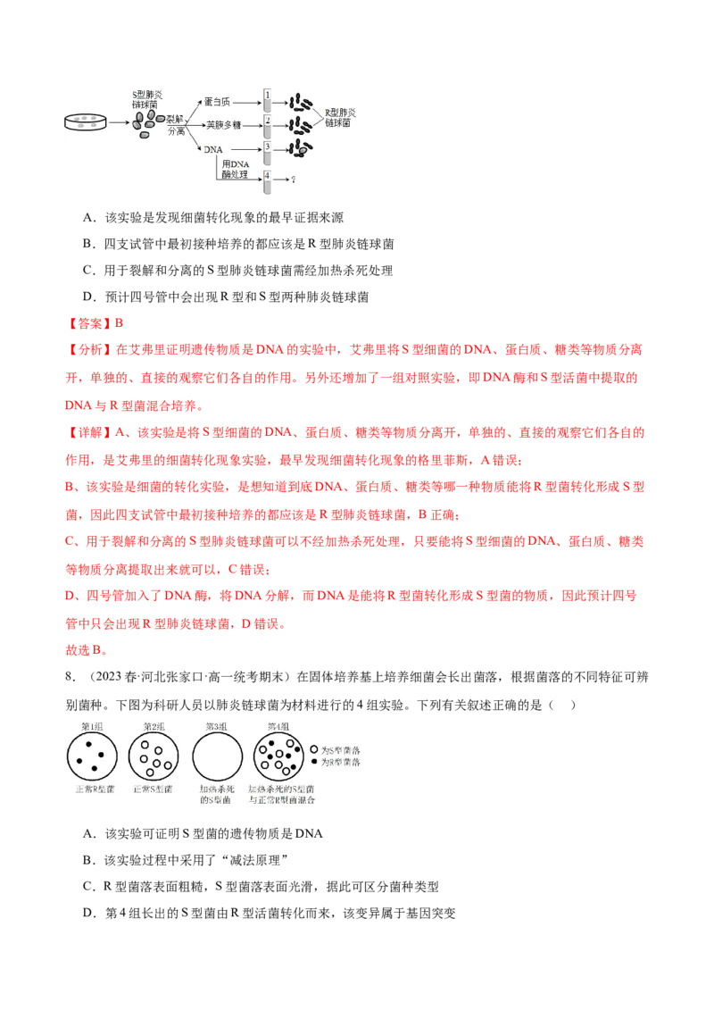 考点通关卷20DNA是主要的遗传物质（解析版）_2024年新高考资料_1.2024一轮复习_2024年高考生物一轮复习考点通关卷（新高考通用）