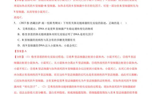 考点通关卷20DNA是主要的遗传物质（解析版）_2024年新高考资料_1.2024一轮复习_2024年高考生物一轮复习考点通关卷（新高考通用）