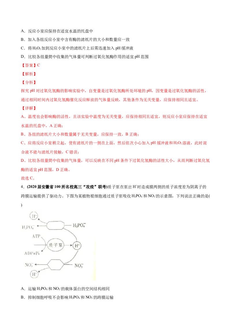 专题02物质进出细胞、酶和ATP-2020年高考真题和模拟题生物分项汇编（教师版含解析）_新高考复习资料_2022年新高考复习资料_2022年一轮复习最新版