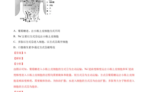 专题02物质进出细胞、酶和ATP-2020年高考真题和模拟题生物分项汇编（教师版含解析）_新高考复习资料_2022年新高考复习资料_2022年一轮复习最新版