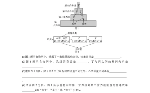 第9单元　课时练6　生态系统的能量流动_2024年新高考资料_1.2024一轮复习_2024年高考生物一轮复习讲义（新人教版）_学生版在此文件夹_一轮复习69练_第九单元　生物与环境