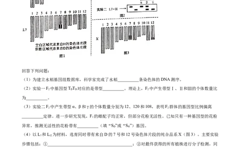 专题07基因的分离定律-2021年高考真题和模拟题生物分项汇编（原卷版）_新高考复习资料_2022年新高考复习资料_2021年高考真题和模拟题生物分项汇编7.30更新