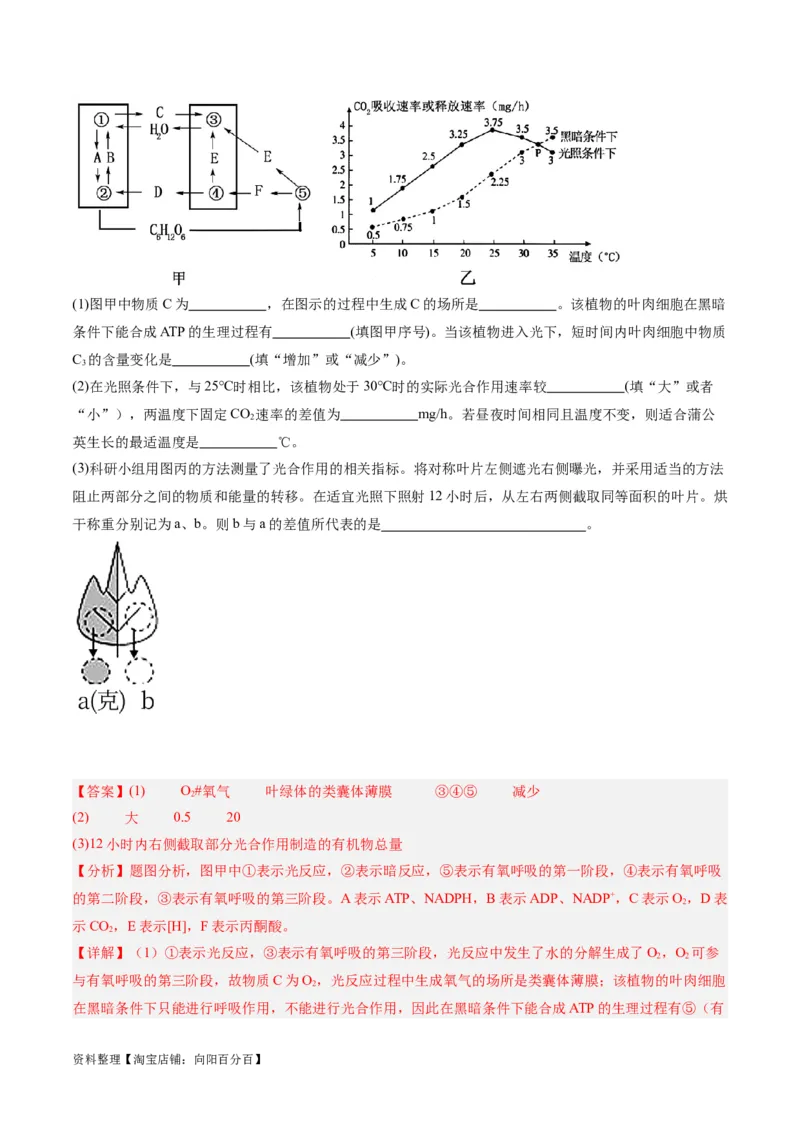 专题02细胞的能量供应与利用（分层练）（解析版）_新高考复习资料_2024年新高考复习资料_二轮复习资料_高频考点解密2024年高考生物二轮复习高频考点追踪与预测（新高考专用）