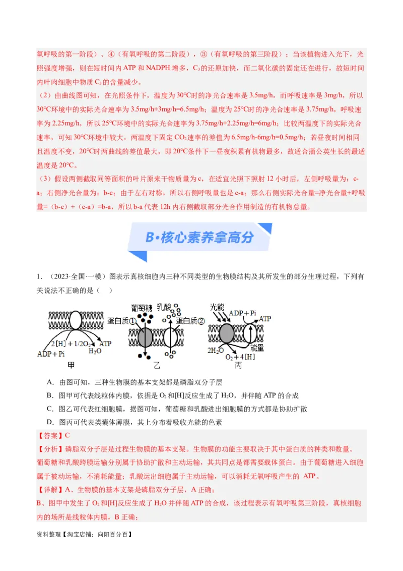 专题02细胞的能量供应与利用（分层练）（解析版）_新高考复习资料_2024年新高考复习资料_二轮复习资料_高频考点解密2024年高考生物二轮复习高频考点追踪与预测（新高考专用）