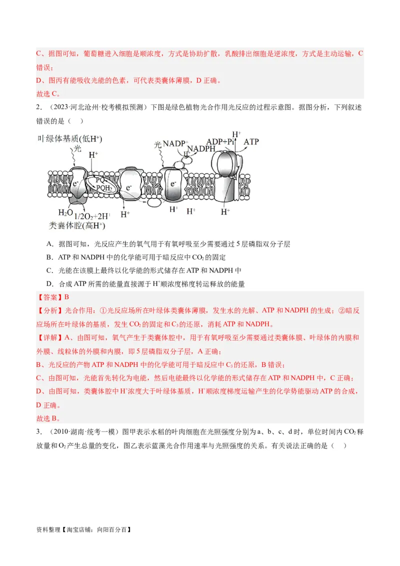 专题02细胞的能量供应与利用（分层练）（解析版）_新高考复习资料_2024年新高考复习资料_二轮复习资料_高频考点解密2024年高考生物二轮复习高频考点追踪与预测（新高考专用）