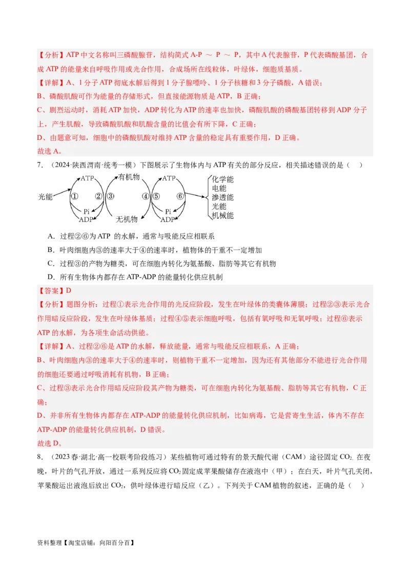 专题02细胞的能量供应与利用（分层练）（解析版）_新高考复习资料_2024年新高考复习资料_二轮复习资料_高频考点解密2024年高考生物二轮复习高频考点追踪与预测（新高考专用）