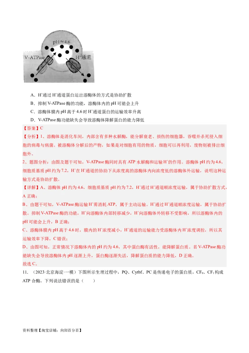 专题02细胞的能量供应与利用（分层练）（解析版）_新高考复习资料_2024年新高考复习资料_二轮复习资料_高频考点解密2024年高考生物二轮复习高频考点追踪与预测（新高考专用）