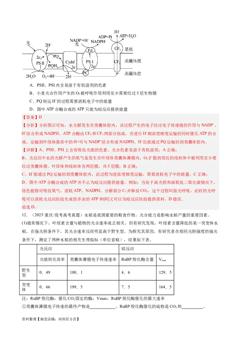 专题02细胞的能量供应与利用（分层练）（解析版）_新高考复习资料_2024年新高考复习资料_二轮复习资料_高频考点解密2024年高考生物二轮复习高频考点追踪与预测（新高考专用）