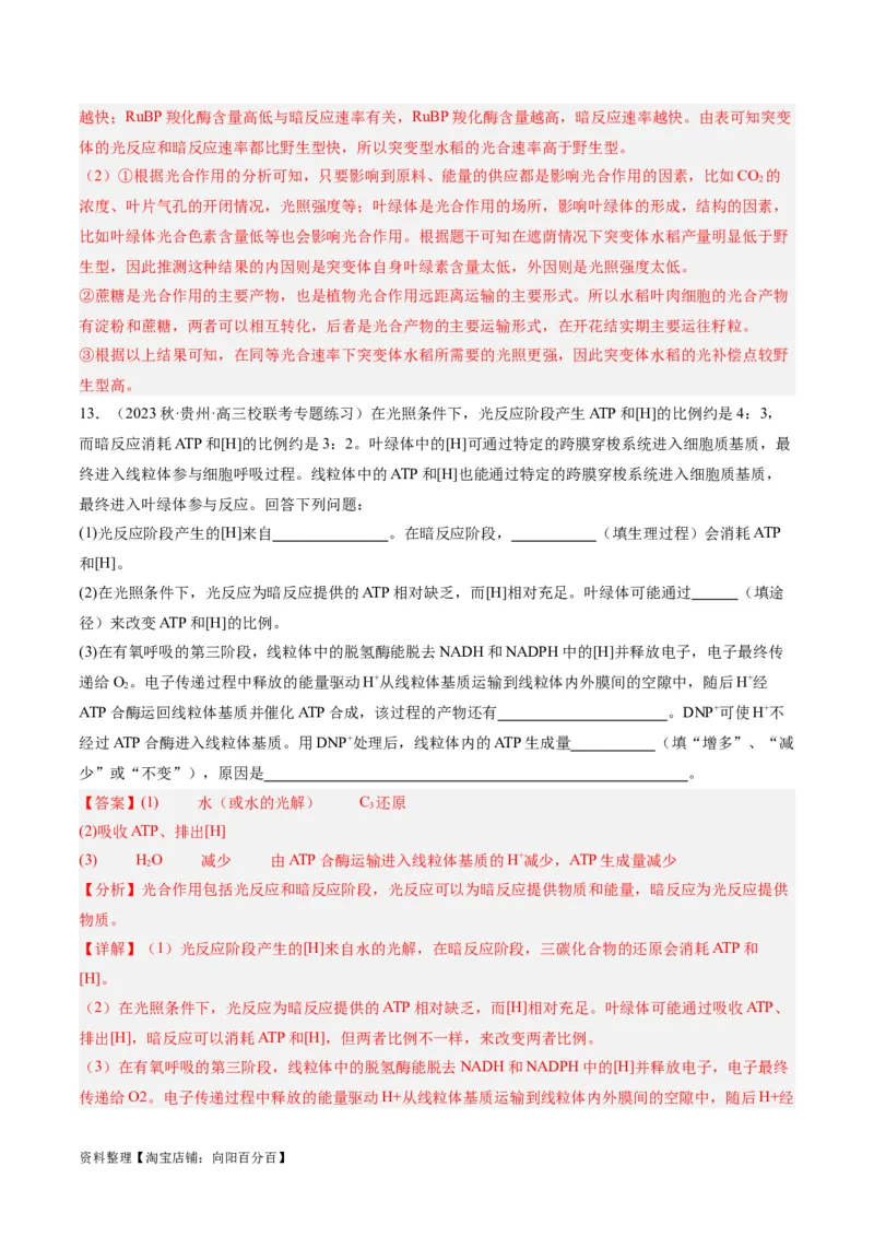 专题02细胞的能量供应与利用（分层练）（解析版）_新高考复习资料_2024年新高考复习资料_二轮复习资料_高频考点解密2024年高考生物二轮复习高频考点追踪与预测（新高考专用）
