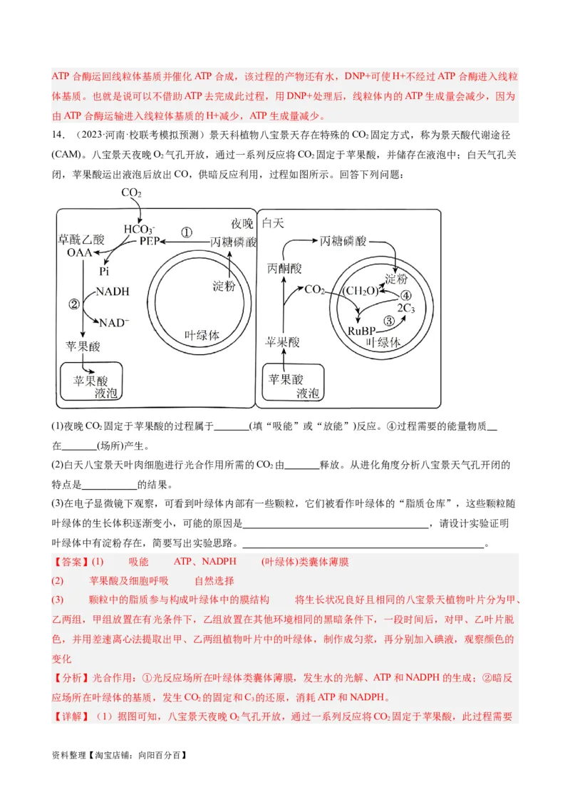 专题02细胞的能量供应与利用（分层练）（解析版）_新高考复习资料_2024年新高考复习资料_二轮复习资料_高频考点解密2024年高考生物二轮复习高频考点追踪与预测（新高考专用）