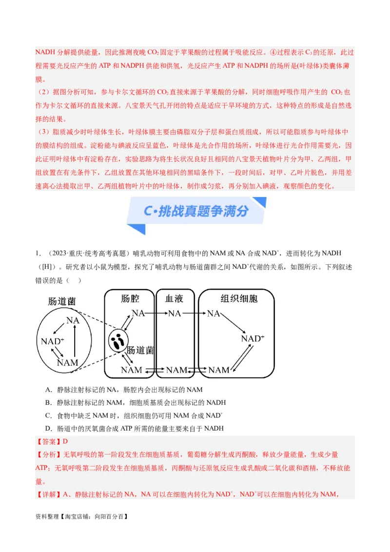 专题02细胞的能量供应与利用（分层练）（解析版）_新高考复习资料_2024年新高考复习资料_二轮复习资料_高频考点解密2024年高考生物二轮复习高频考点追踪与预测（新高考专用）