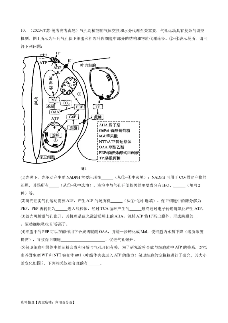 专题02细胞的能量供应与利用（分层练）（解析版）_新高考复习资料_2024年新高考复习资料_二轮复习资料_高频考点解密2024年高考生物二轮复习高频考点追踪与预测（新高考专用）