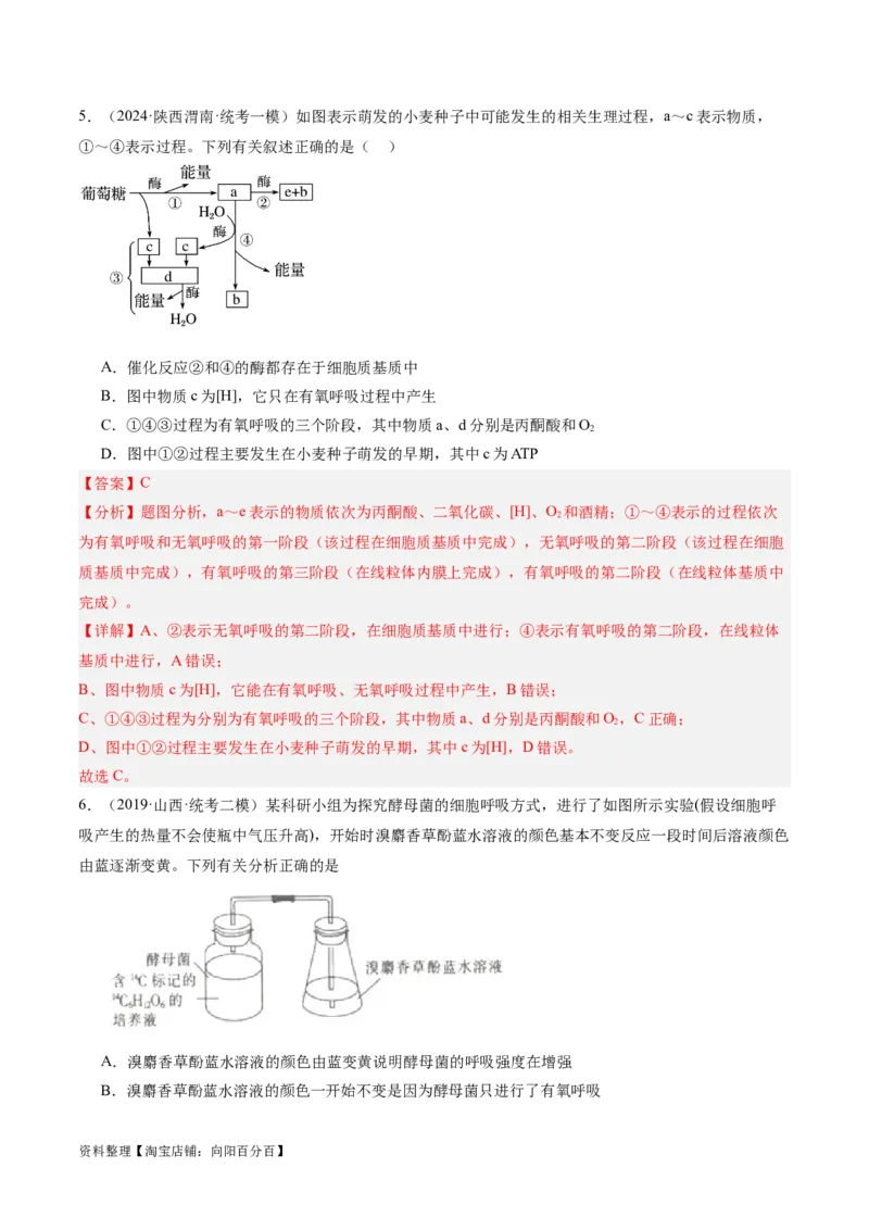 专题02细胞的能量供应与利用（分层练）（解析版）_新高考复习资料_2024年新高考复习资料_二轮复习资料_高频考点解密2024年高考生物二轮复习高频考点追踪与预测（新高考专用）