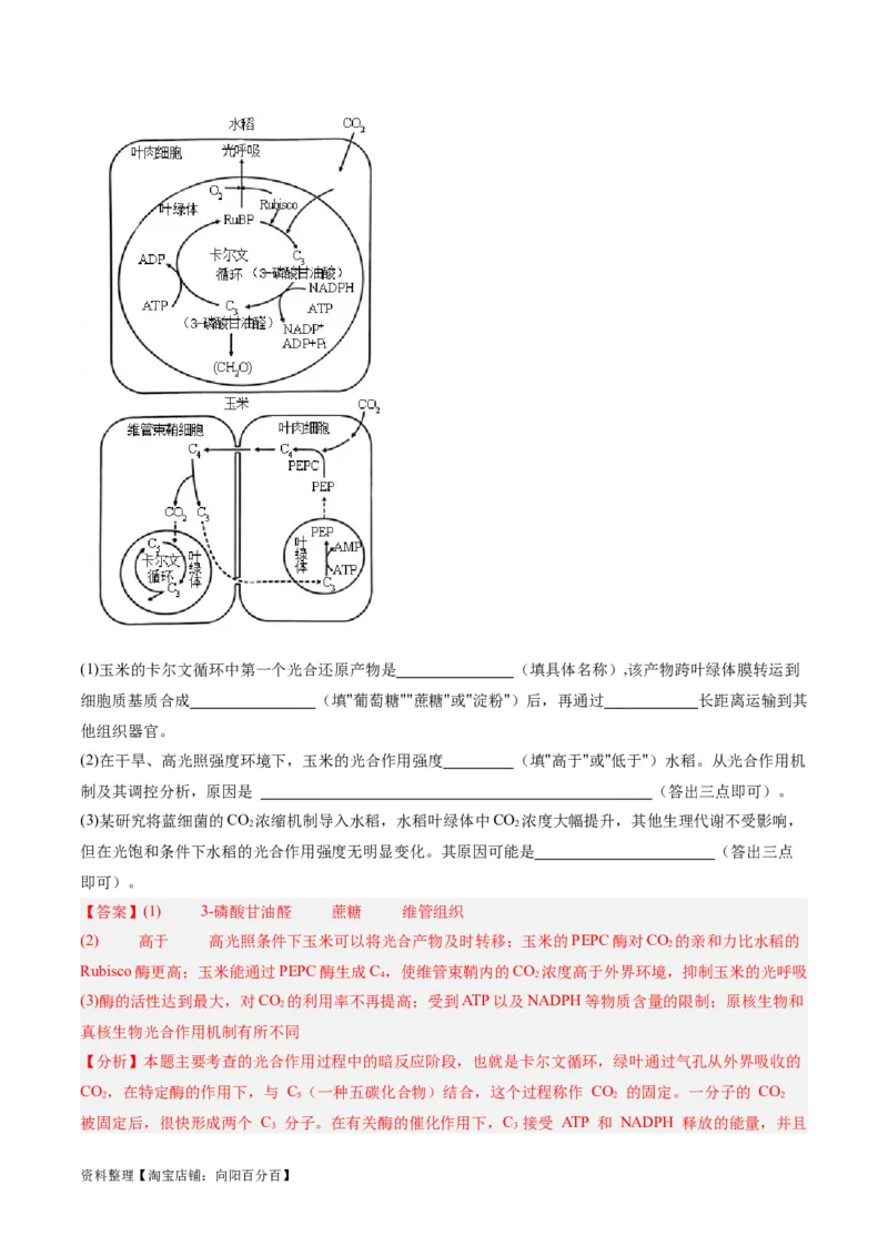 专题02细胞的能量供应与利用（分层练）（解析版）_新高考复习资料_2024年新高考复习资料_二轮复习资料_高频考点解密2024年高考生物二轮复习高频考点追踪与预测（新高考专用）