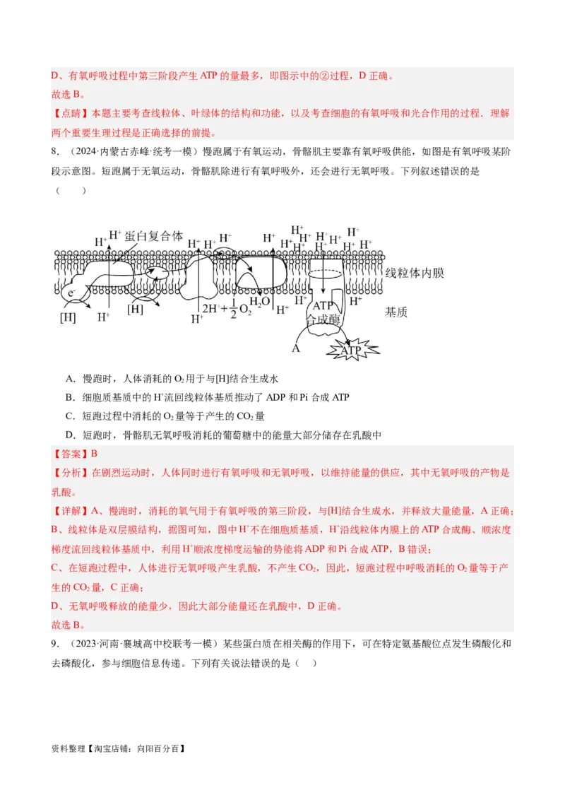 专题02细胞的能量供应与利用（分层练）（解析版）_新高考复习资料_2024年新高考复习资料_二轮复习资料_高频考点解密2024年高考生物二轮复习高频考点追踪与预测（新高考专用）