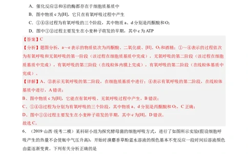 专题02细胞的能量供应与利用（分层练）（解析版）_新高考复习资料_2024年新高考复习资料_二轮复习资料_高频考点解密2024年高考生物二轮复习高频考点追踪与预测（新高考专用）