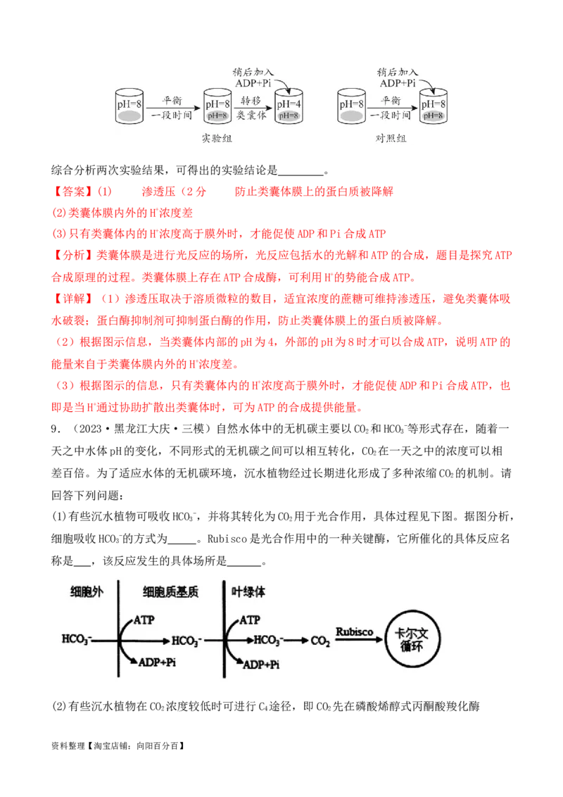 专题06细胞代谢（解析版）_新高考复习资料_2024年新高考复习资料_二轮复习资料_2024年高考生物二轮热点题型归纳与变式演练（新高考通用）_教师版（含答案解析）