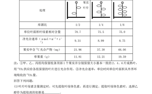 专题06细胞代谢（解析版）_新高考复习资料_2024年新高考复习资料_二轮复习资料_2024年高考生物二轮热点题型归纳与变式演练（新高考通用）_教师版（含答案解析）