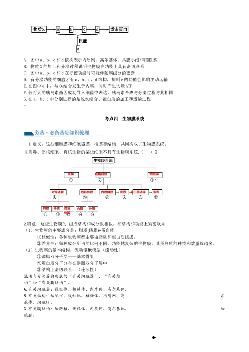 第6讲细胞质和生物膜系统（讲义）（学生版）_2024年新高考资料_1.2024一轮复习_2024年高考生物一轮复习讲练测（新教材新高考）