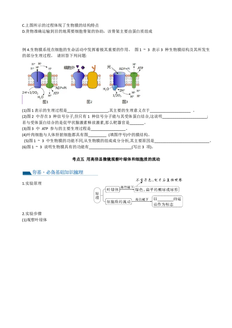 第6讲细胞质和生物膜系统（讲义）（学生版）_2024年新高考资料_1.2024一轮复习_2024年高考生物一轮复习讲练测（新教材新高考）