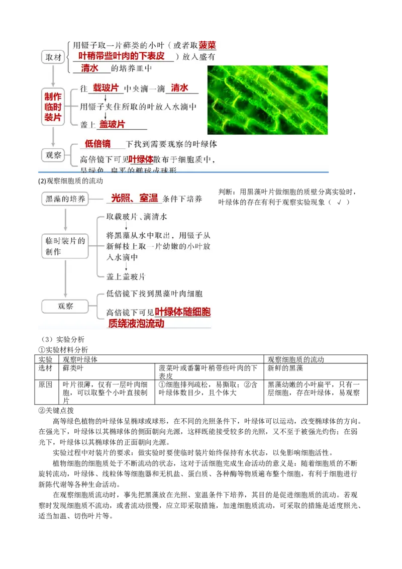 第6讲细胞质和生物膜系统（讲义）（学生版）_2024年新高考资料_1.2024一轮复习_2024年高考生物一轮复习讲练测（新教材新高考）
