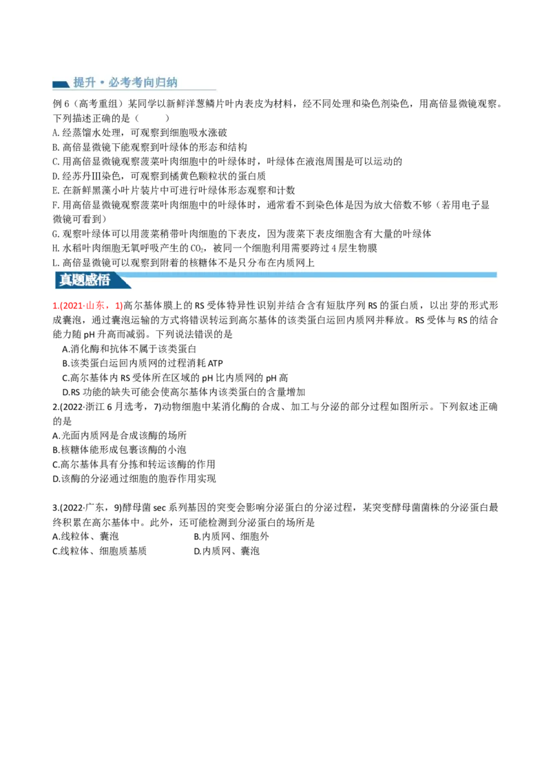 第6讲细胞质和生物膜系统（讲义）（学生版）_2024年新高考资料_1.2024一轮复习_2024年高考生物一轮复习讲练测（新教材新高考）