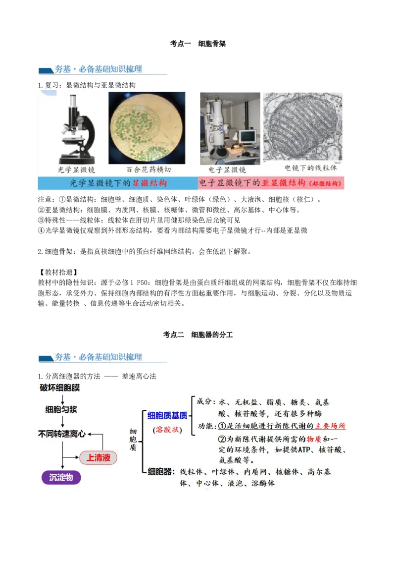 第6讲细胞质和生物膜系统（讲义）（学生版）_2024年新高考资料_1.2024一轮复习_2024年高考生物一轮复习讲练测（新教材新高考）