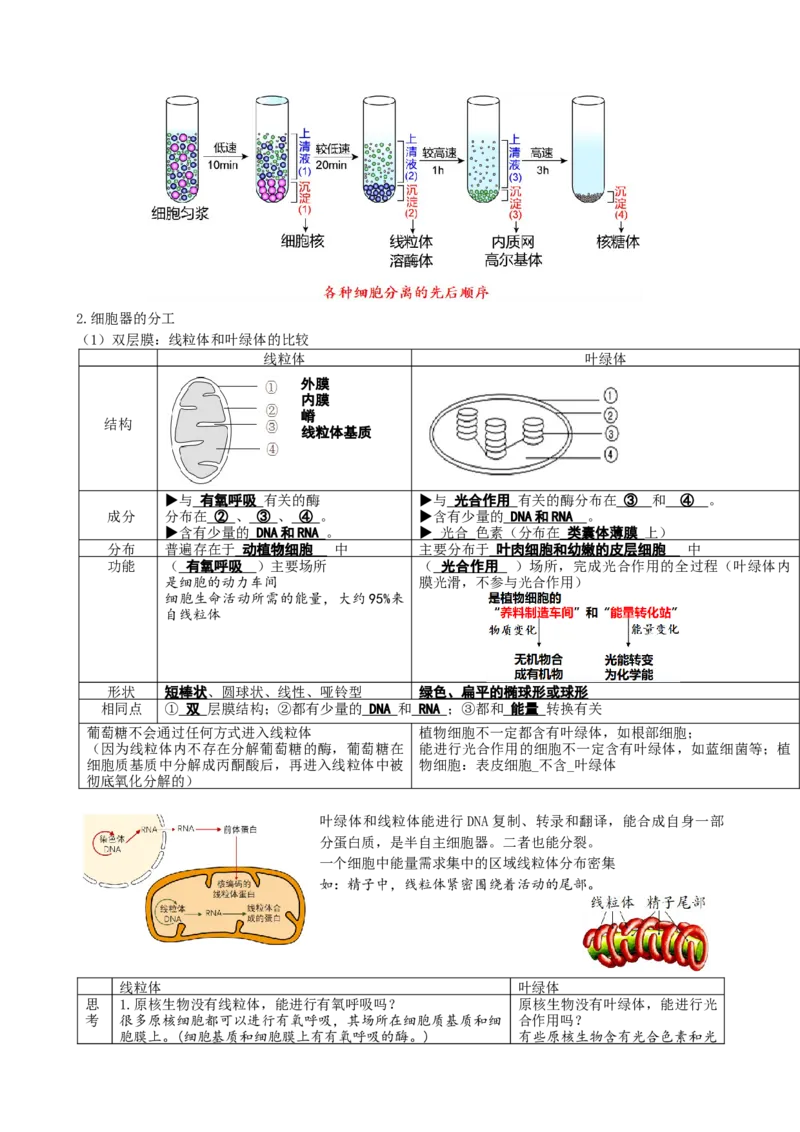 第6讲细胞质和生物膜系统（讲义）（学生版）_2024年新高考资料_1.2024一轮复习_2024年高考生物一轮复习讲练测（新教材新高考）