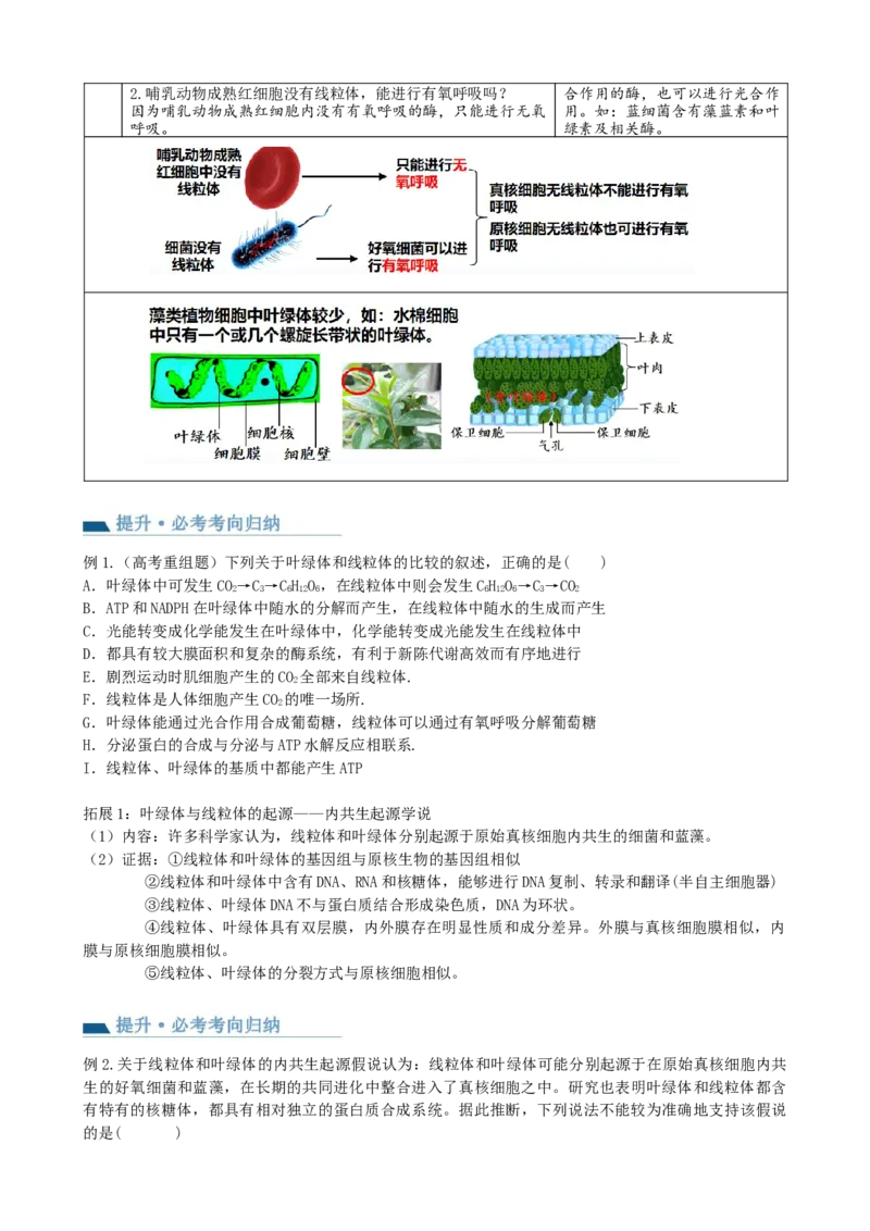 第6讲细胞质和生物膜系统（讲义）（学生版）_2024年新高考资料_1.2024一轮复习_2024年高考生物一轮复习讲练测（新教材新高考）
