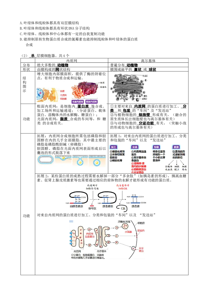第6讲细胞质和生物膜系统（讲义）（学生版）_2024年新高考资料_1.2024一轮复习_2024年高考生物一轮复习讲练测（新教材新高考）