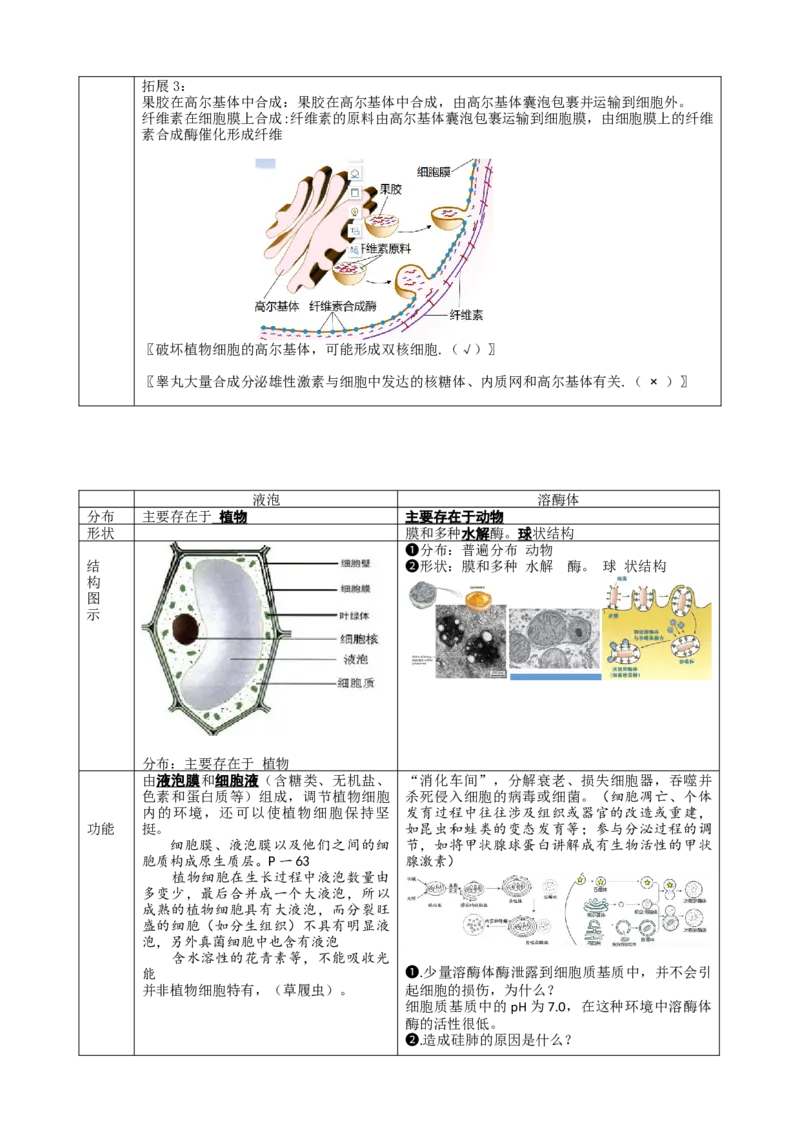 第6讲细胞质和生物膜系统（讲义）（学生版）_2024年新高考资料_1.2024一轮复习_2024年高考生物一轮复习讲练测（新教材新高考）