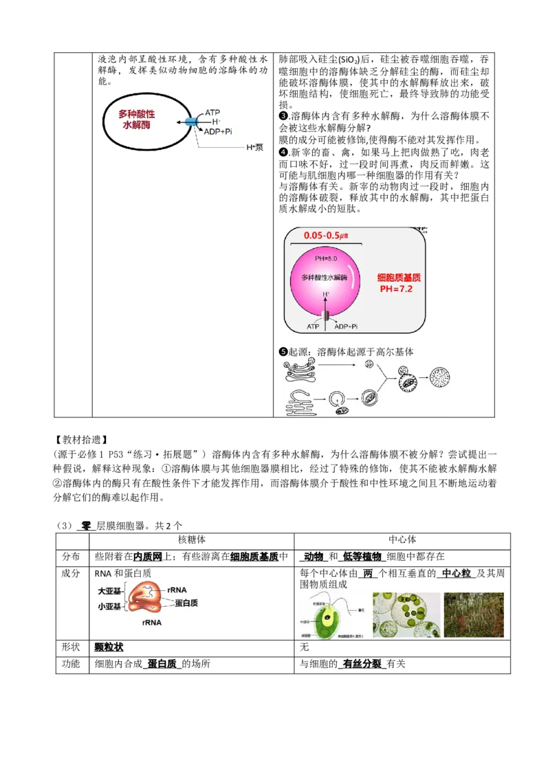 第6讲细胞质和生物膜系统（讲义）（学生版）_2024年新高考资料_1.2024一轮复习_2024年高考生物一轮复习讲练测（新教材新高考）
