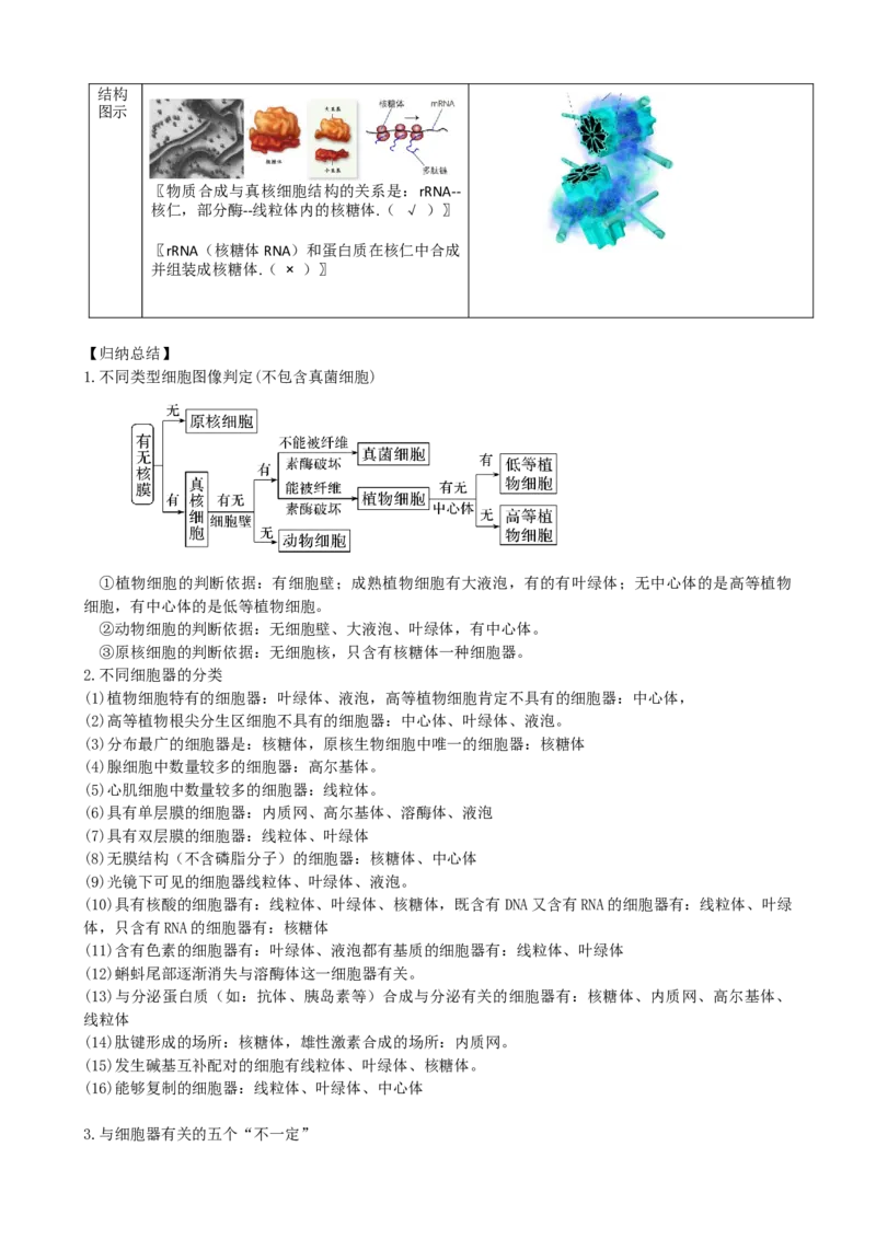第6讲细胞质和生物膜系统（讲义）（学生版）_2024年新高考资料_1.2024一轮复习_2024年高考生物一轮复习讲练测（新教材新高考）