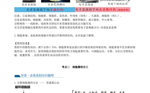 第6讲细胞质和生物膜系统（讲义）（学生版）_2024年新高考资料_1.2024一轮复习_2024年高考生物一轮复习讲练测（新教材新高考）