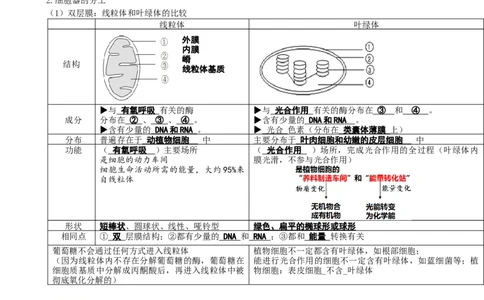 第6讲细胞质和生物膜系统（讲义）（学生版）_2024年新高考资料_1.2024一轮复习_2024年高考生物一轮复习讲练测（新教材新高考）