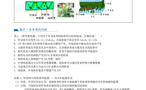 第6讲细胞质和生物膜系统（讲义）（学生版）_2024年新高考资料_1.2024一轮复习_2024年高考生物一轮复习讲练测（新教材新高考）