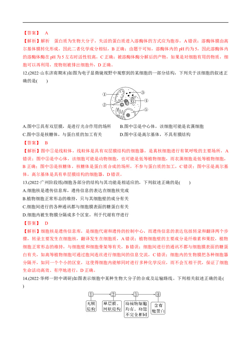专题02细胞的结构和功能（练）-2023年高考生物二轮复习讲练测（全国通用）（解析版）_通用版（老高考）复习资料_2023年复习资料_二轮复习_2023年高考生物二轮复习讲练测（全国通用）