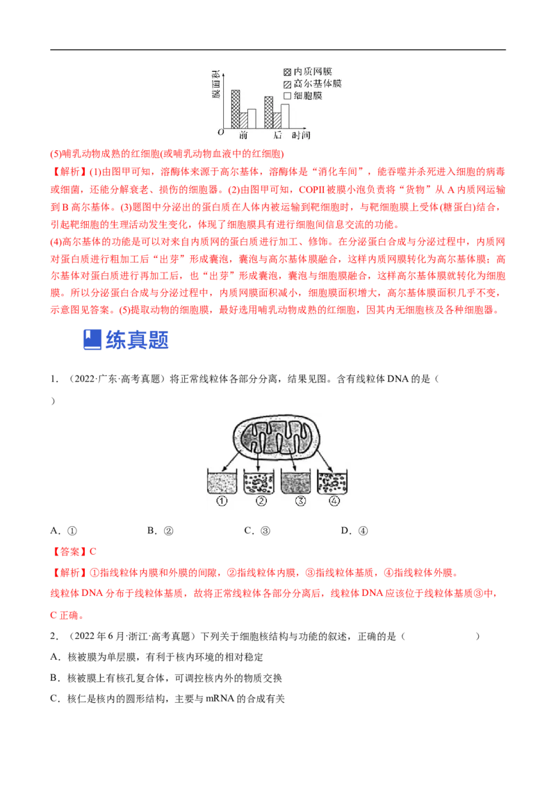 专题02细胞的结构和功能（练）-2023年高考生物二轮复习讲练测（全国通用）（解析版）_通用版（老高考）复习资料_2023年复习资料_二轮复习_2023年高考生物二轮复习讲练测（全国通用）