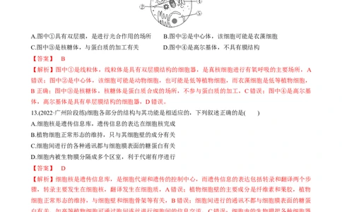 专题02细胞的结构和功能（练）-2023年高考生物二轮复习讲练测（全国通用）（解析版）_通用版（老高考）复习资料_2023年复习资料_二轮复习_2023年高考生物二轮复习讲练测（全国通用）