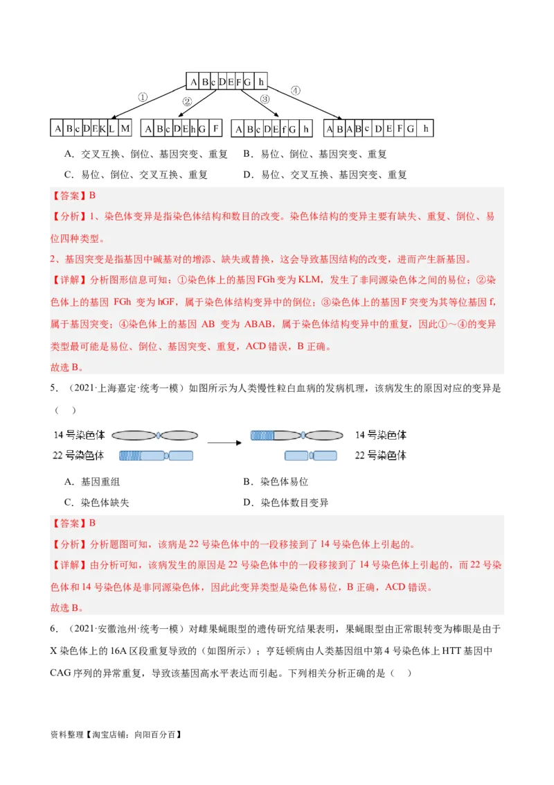 专题06变异与进化（分层练）（解析版）_新高考复习资料_2024年新高考复习资料_二轮复习资料_高频考点解密2024年高考生物二轮复习高频考点追踪与预测（新高考专用）_分层练