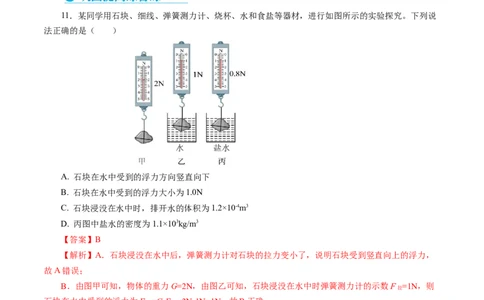 10.2阿基米德原理（分层作业）解析版_初物_八年级上下册+九年级全一册物理_八年级物理下册_分层作业（更新中）