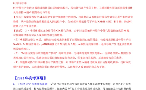 专题07细胞得分化、衰老、凋亡及癌变-学易金卷：五年（2019-2023）高考生物真题分项汇编（全国通用）（解析版）_通用版（老高考）复习资料_2024年复习资料