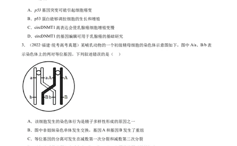 考点通关卷23生物的变异（原卷版）_2024年新高考资料_1.2024一轮复习_2024年高考生物一轮复习考点通关卷（新高考通用）_考点通关卷23+生物的变异-2024年高考生物一轮复习考点通关卷