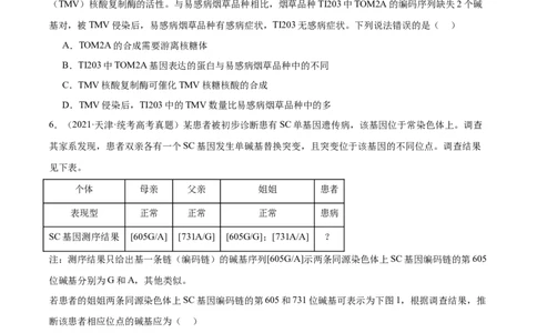 考点通关卷23生物的变异（原卷版）_2024年新高考资料_1.2024一轮复习_2024年高考生物一轮复习考点通关卷（新高考通用）_考点通关卷23+生物的变异-2024年高考生物一轮复习考点通关卷
