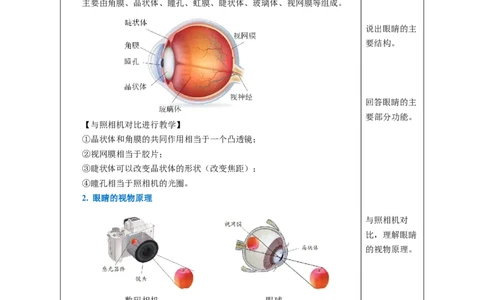5.4眼睛和眼镜（教学设计）-（人教版2024）_初物_八年级上下册+九年级全一册物理_八年级物理上册_教学设计（完）