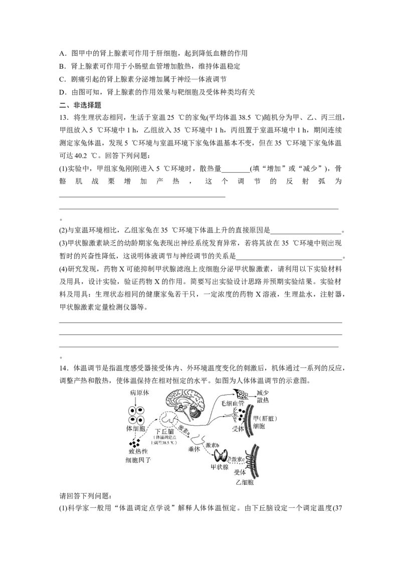 第8单元　课时练6　体液调节与神经调节的关系_2024年新高考资料_1.2024一轮复习_2024年高考生物一轮复习讲义（新人教版）_学生版在此文件夹_一轮复习69练_第八单元　生命活动的调节