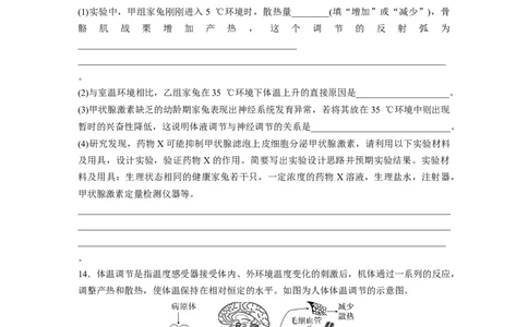 第8单元　课时练6　体液调节与神经调节的关系_2024年新高考资料_1.2024一轮复习_2024年高考生物一轮复习讲义（新人教版）_学生版在此文件夹_一轮复习69练_第八单元　生命活动的调节