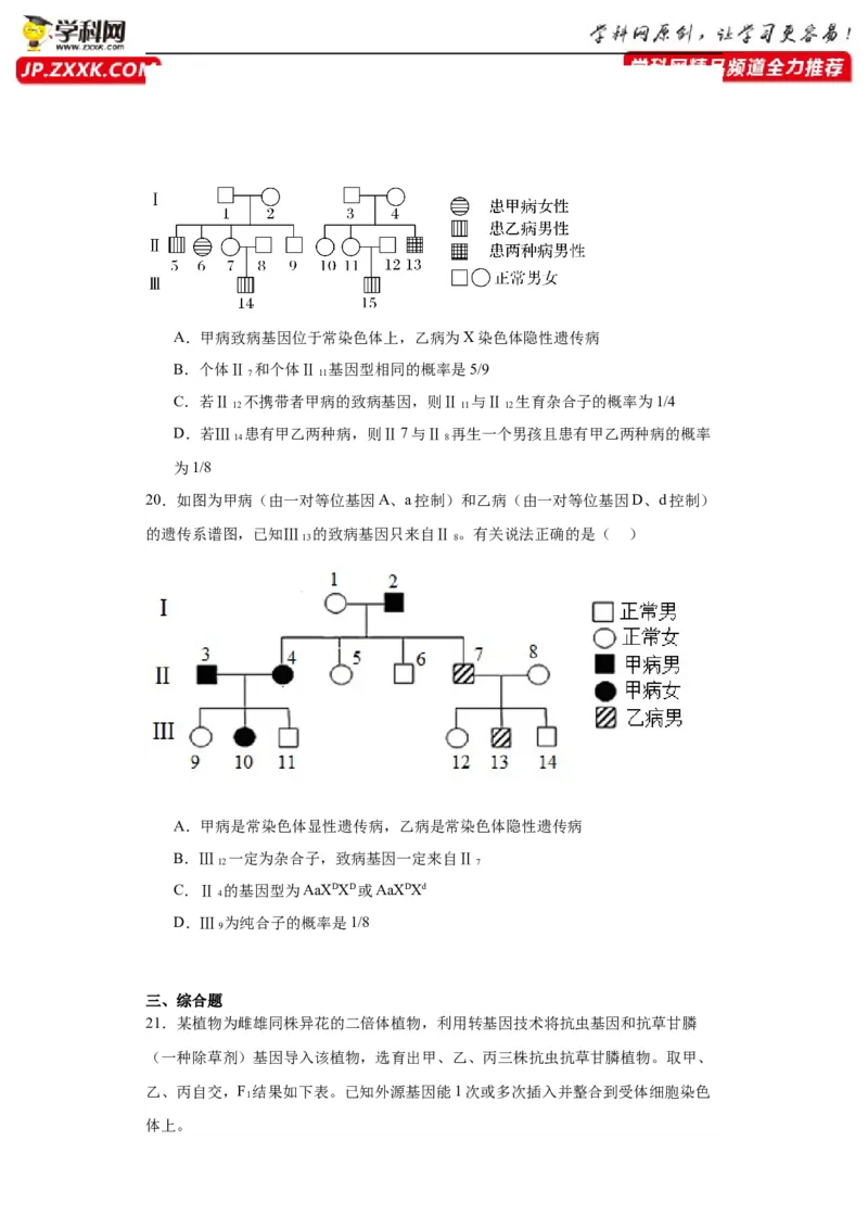 第五单元基因的传递规律（测试卷）（原卷版)_2024年新高考资料_3.2024专项复习_备战2024年高考生物一轮复习重难点专项突破