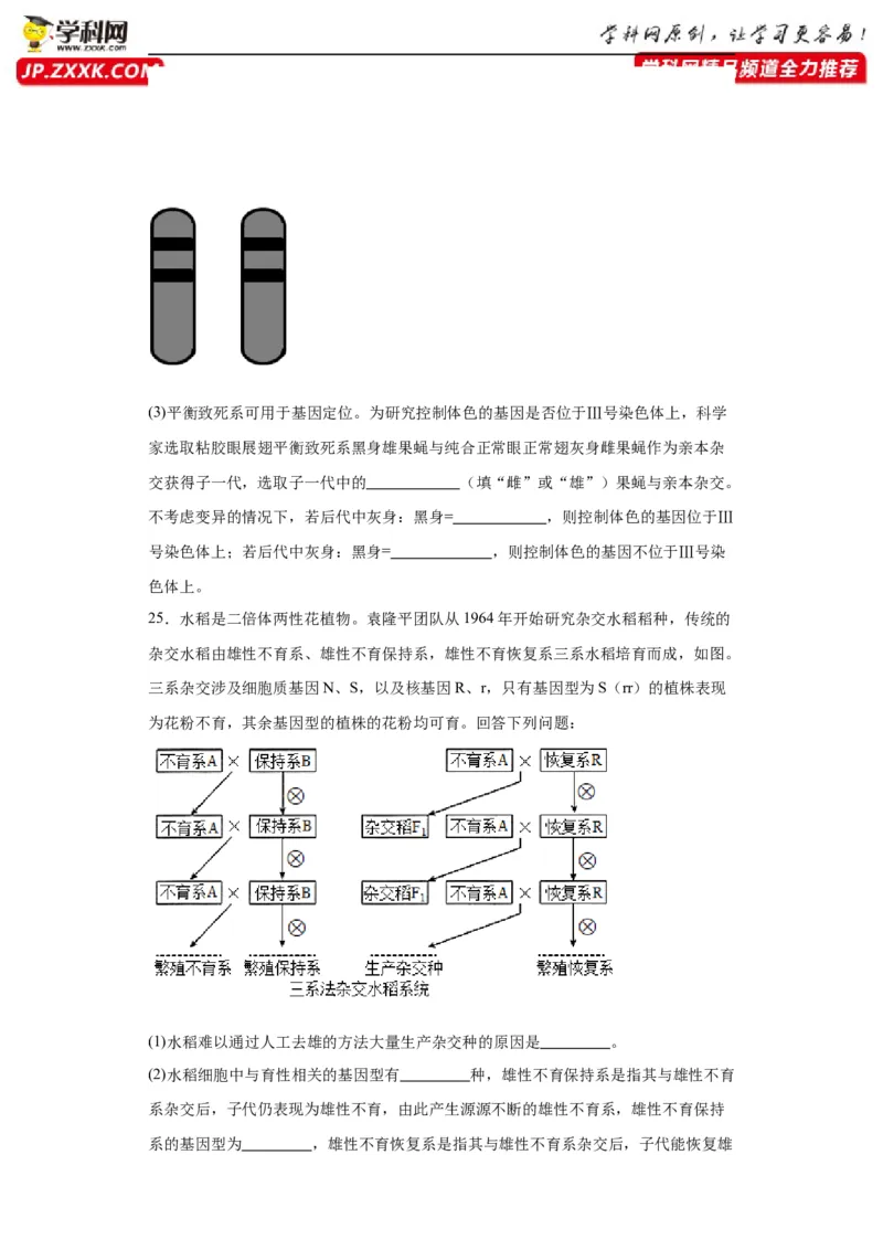 第五单元基因的传递规律（测试卷）（原卷版)_2024年新高考资料_3.2024专项复习_备战2024年高考生物一轮复习重难点专项突破