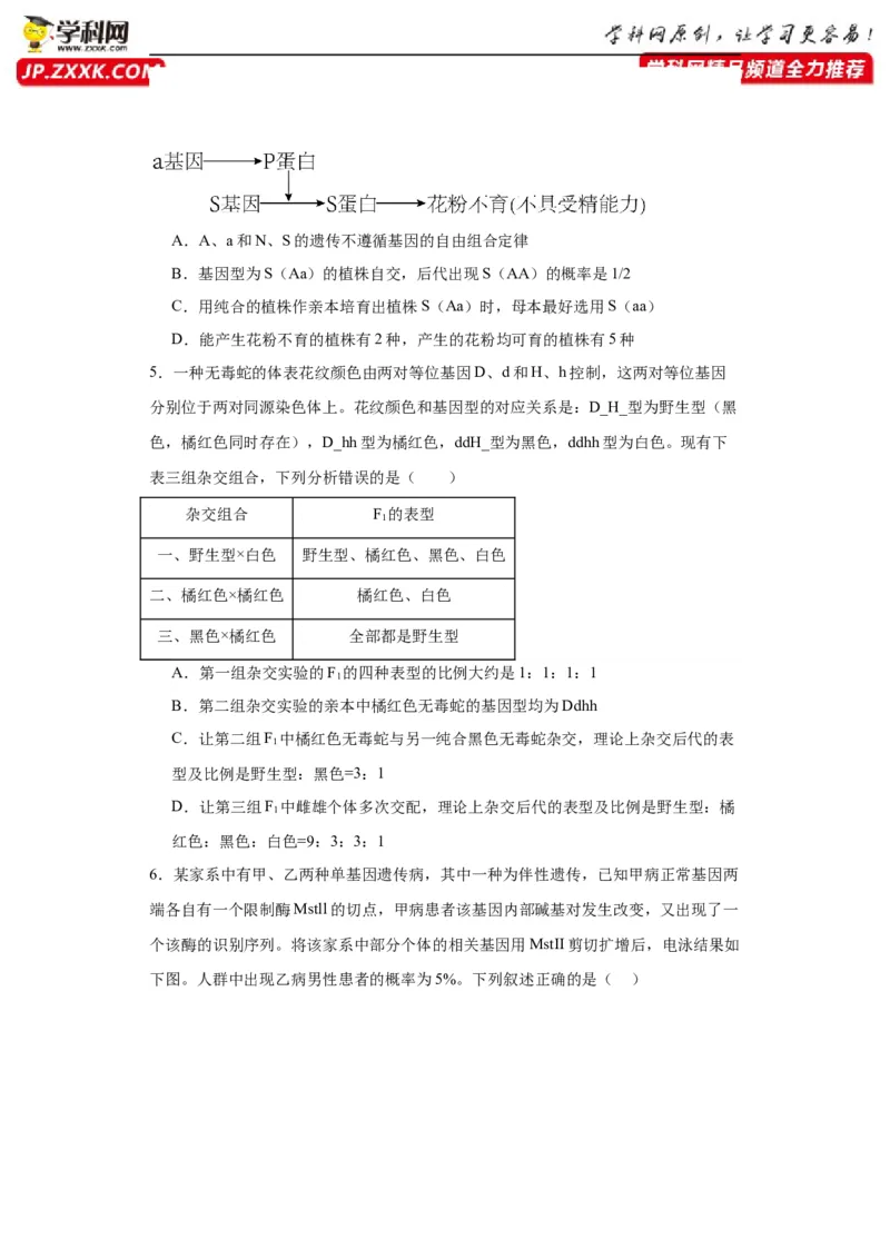 第五单元基因的传递规律（测试卷）（原卷版)_2024年新高考资料_3.2024专项复习_备战2024年高考生物一轮复习重难点专项突破